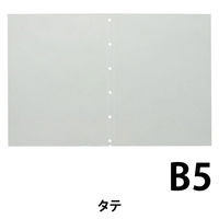 キングジム クリアーファイル ヒクタス ポケット B5 タテ型 7102T 1パック(5枚)