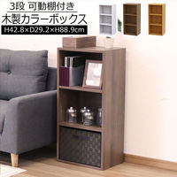 エイ・アイ・エス 可動棚カラーボックス 3段 幅428×奥行292×高さ889mm ブラウン CO-05BR 1台（直送品）