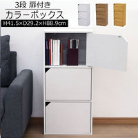 エイ・アイ・エス ドア付きカラーボックス 3段 幅415×奥行292×高さ889mm ホワイト CO-16WH 1台（直送品）