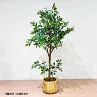 ストア・エキスプレス フェイクグリーン　フィカス　Ｈ１６０ｃｍ 8566-118 1台（直送品）