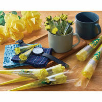 ストア・エキスプレス 父の日バラ　ラップ巻　Ｌ１１．５ｃｍ 8590-1774 1セット(20本)（直送品）