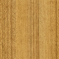 スリーエム ダイノック　（屋外耐候性フィルム）　ＦＷー１８０５ＥＸ　１２２０ｍｍ×１ｍ 081730 1枚（直送品）