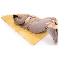 オオサキメディカル プラスハート スライディングシート ふつう 1枚入 75171 1個