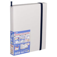 サクラクレパス 作品思い出ボックス小ホワイト TFX-S#50 1セット(1冊×2)