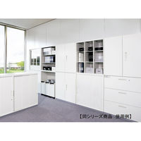 【組立設置込】プラス L6 クリアケースキャビネット 浅型3列 22段 下置き用 幅800×奥行450×高さ1050mm ホワイト 【要ベース】（直送品）