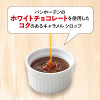 片岡物産 バンホーテン キャラメルシロップ 1個（630g）