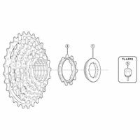 シマノ Y11F1129A 11Tギア (ツバ付ギア) acグループ用 1セット(3個)（直送品）