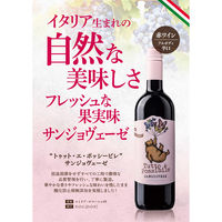 【ナチュラルワイン】トゥット・エ・ポッシービレ サンジョヴェーゼ 赤ワイン　フル　750ml 1本　モンテ物産　酸化防止剤無添加