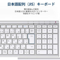キーボード ワイヤレス ウルトラスリムフルサイズ 2.4Gワイヤレスキーボード GKJ22S iClever