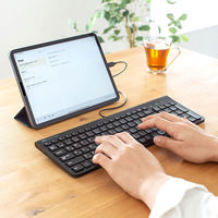 有線キーボード USB Type-C接続/薄型/フルキー/スリムキーボード SKB-SL31CBK 1個 サンワサプライ（わけあり品）