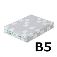 アスクル　カラーペーパー　B5　ライトブルー　1冊（500枚入）  オリジナル（わけあり品）