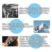 和光商事 バローベ丸ヤスリ 3.6mm(9/64) 21V034 1セット(1個(3本)×4)