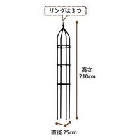 第一ビニール DAIM ローズオベリスク ブラックリング 直径25cm×高さ210cm 225143 1個（直送品）