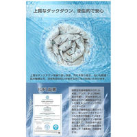 丸八真綿 ホワイトダックダウン70％ 羽毛肌掛け布団 フラワー柄 シングル 1500×2100mm ブルー 633519BO 1枚（直送品）