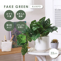 不二貿易 フェイクグリーン モンステラ セラミックポット 41139 1個