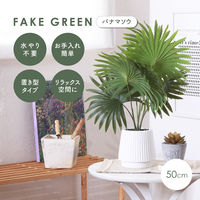 不二貿易 フェイクグリーン パナマソウ セラミックポット 41129 1個