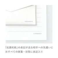 マルアイ 抗菌レターセット ヨコ罫 レG-20 1パック