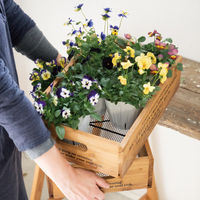 ヘッズ デイリーワークスウッドメッシュボックス-L DWM-WOL 1パック(2個)