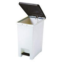 アスベル R防臭エバン・ペダルペール20L 4950672654116 1個