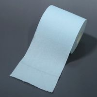 林製紙 (2130)海のおもてなし4ロールトイレットペーパー 130228 1パック