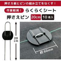 第一ビニール らくらくシート押えピン 20cm 4968438023458 1パック(50本)