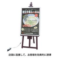 トレード MGライトパネル カスタム 屋外用 ツヤ無ブラック A2 R型 56118ーA2 039464 1台（直送品）