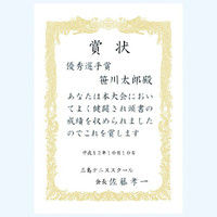 タカ印 賞状用紙 B4 横書 10枚 10-1071（直送品）