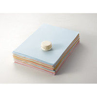 マービー 丸型皮巻文鎮 小 NO.437（直送品）