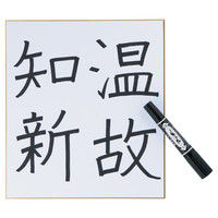 長門屋商店 色紙 サイン シ-601 10枚（直送品）