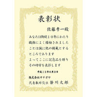 タカ印 賞状用紙 B4 横書 10枚 10-1078（直送品）