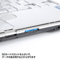 サンワサプライ SDカードスロット取付けセキュリティ(eセキュリティ・ブルー) SLE-27-BL 1セット