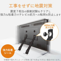 エレコム（ELECOM） TV用耐震ベルト/～75V用/ネジどめタイプ（VESA穴）/2本入 TS-006N 1個（2本入）（直送品）