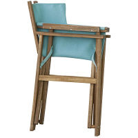 東谷 パティオ ディレクターチェア NX-601LBR（直送品）