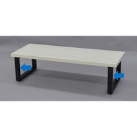 エイ・アイ・エス DIY用テーブル角枠脚 奥行45cm ロータイプ 2本セット ブラック 高さ300mm TBK-4329ST_BK（直送品）