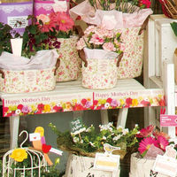 ヘッズ マザーズデイシール付ロール棚ポスター-2 MA-TP2S 1セット（3巻：1巻×3パック）（直送品）