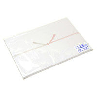 ササガワ のし紙 半紙判 五本結切 のし無し 山 3-515 1セット(1冊(100枚)×5)