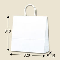 シモジマ 25チャームバッグ 3才 白無地 003250700 1セット（200枚：50枚×4袋）