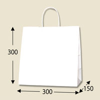 シモジマ 25チャームバッグ W判 晒白無地 003270600 1セット(1袋(50枚)×4)