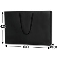 シモジマ ファッションバッグ LL 黒 006489301 1セット(50枚:10枚×5袋)