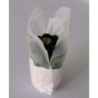 ミヤゲン　テイクアウト用カップ袋　1個用　1箱（2000枚入）