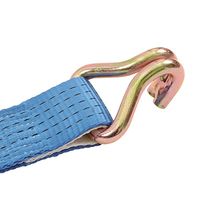 アズワン ラッシングベルト エコノミー フックタイプ 固定側サイズ1m 調整側サイズ5m 3-7246-04 1本(1個)（直送品）