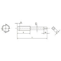 オーエスジー ニューロールタップ(Vコーティング 内径仕上げ刃付き) VーEGーNRT RH7 B M6×1 M6X1 1本（直送品）