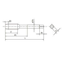 オーエスジー スパイラルタップ(一般用ロングシャンク) EXーLTーSFT OH2 2.5P M6×1×200mm M6X1X200 1本（直送品）