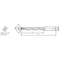 オーエスジー 一般加工用油穴付き レギュラ形 EXゴールドドリル EXーHOーGDR 19.7mm 19.7 1本（直送品）