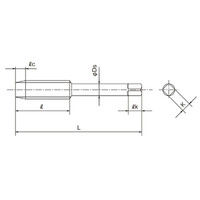 オーエスジー 管用平行タップ(一般用)(G) SPT NPS 4P 2ー1/2ー8 1本（直送品）