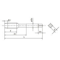 オーエスジー スパイラルタップ(一般用)ネジ種類U EXーSFT OH2 2.5P No.10ー24UNC 1本（直送品）