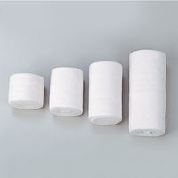 日本シグマックス　弾性包帯　エルテクト 2号 052　1箱（10巻入）