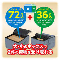 アスカ アスカ 宅配ボックス ツイン 大容量 南京錠ダイヤル錠ワイヤー付き DSB150（直送品）