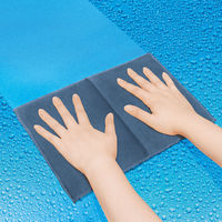 ソーアップ 究極吸水クロス P48 1個