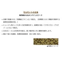 モルモットセレクション モルモット用 国産 3.5kg 1袋 イースター